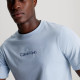 Calvin Klein Ανδρική κοντομάνικη μπλούζα Logo Gym T-Shirt